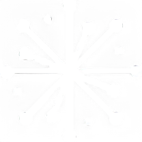 ELD PRO SOLUTION logo